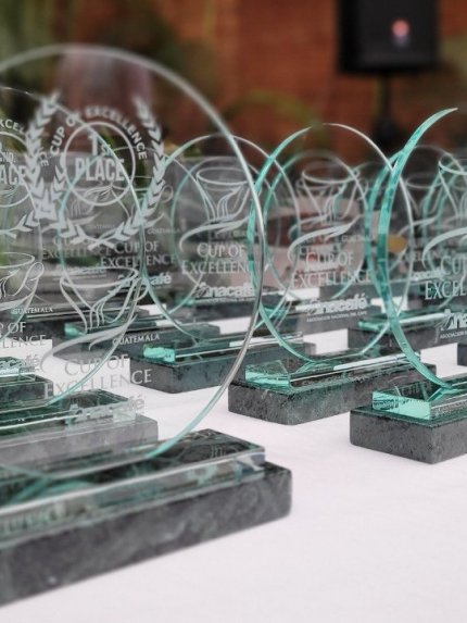 La Labor Y Anexo -Guatemala Cup of Excellence 2022