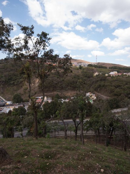 La Labor Y Anexo -Guatemala Cup of Excellence 2022