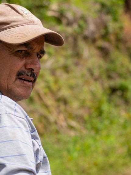 Don Cayito - Costa Rica Cup of Excellence 2022 No#1A