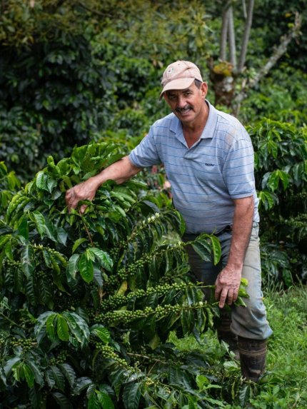 Don Cayito - Costa Rica Cup of Excellence 2022 No#1A