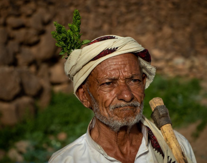 AL RUWAD XI - Yemen Alchemy Prosess Yemenia Coffee