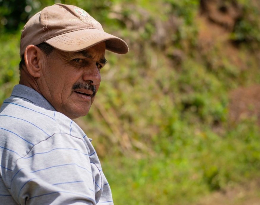 Don Cayito - Costa Rica Cup of Excellence 2022 No#1A