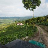 Colombia Gesha Passiflora