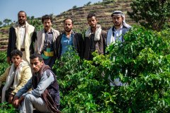 AL RUWAD XI - Yemen Alchemy Prosess Yemenia Coffee