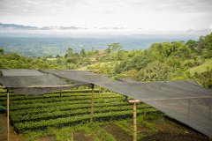 Colombia  El Paraiso Villa Rosita