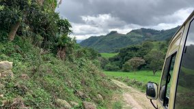 Guatemala COE 2024 No.5 El Socorro Washed Gesha