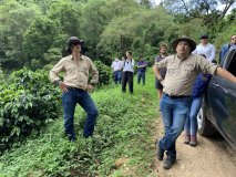 Guatemala COE 2024 No.5 El Socorro Washed Gesha