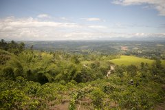 Colombia  El Paraiso Villa Rosita