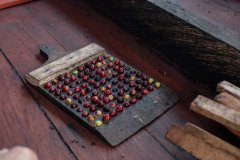 Frozen Cherry, Colombia